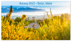 Boise, Idaho Zoom Background 9